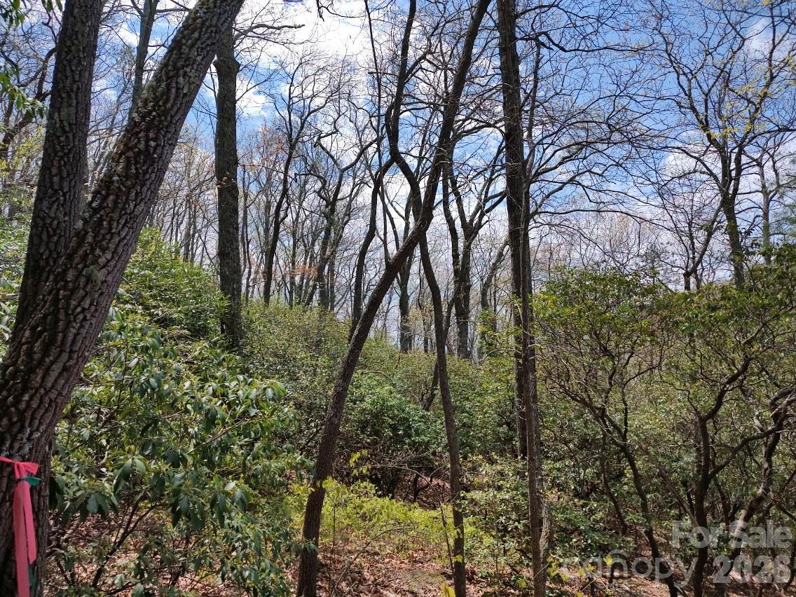 99999 Red Oak Forest Road 1418