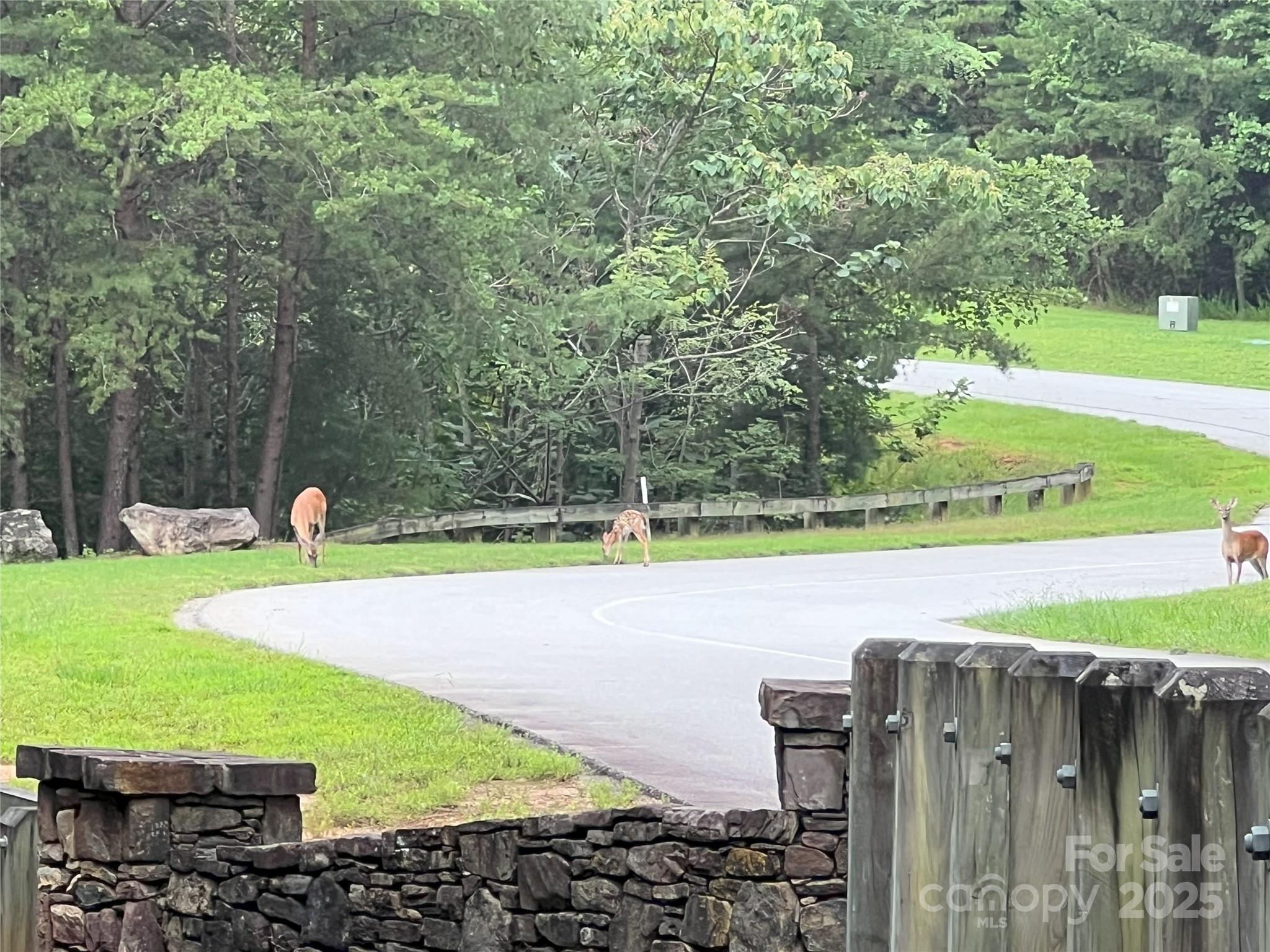 Brights Creek - Land