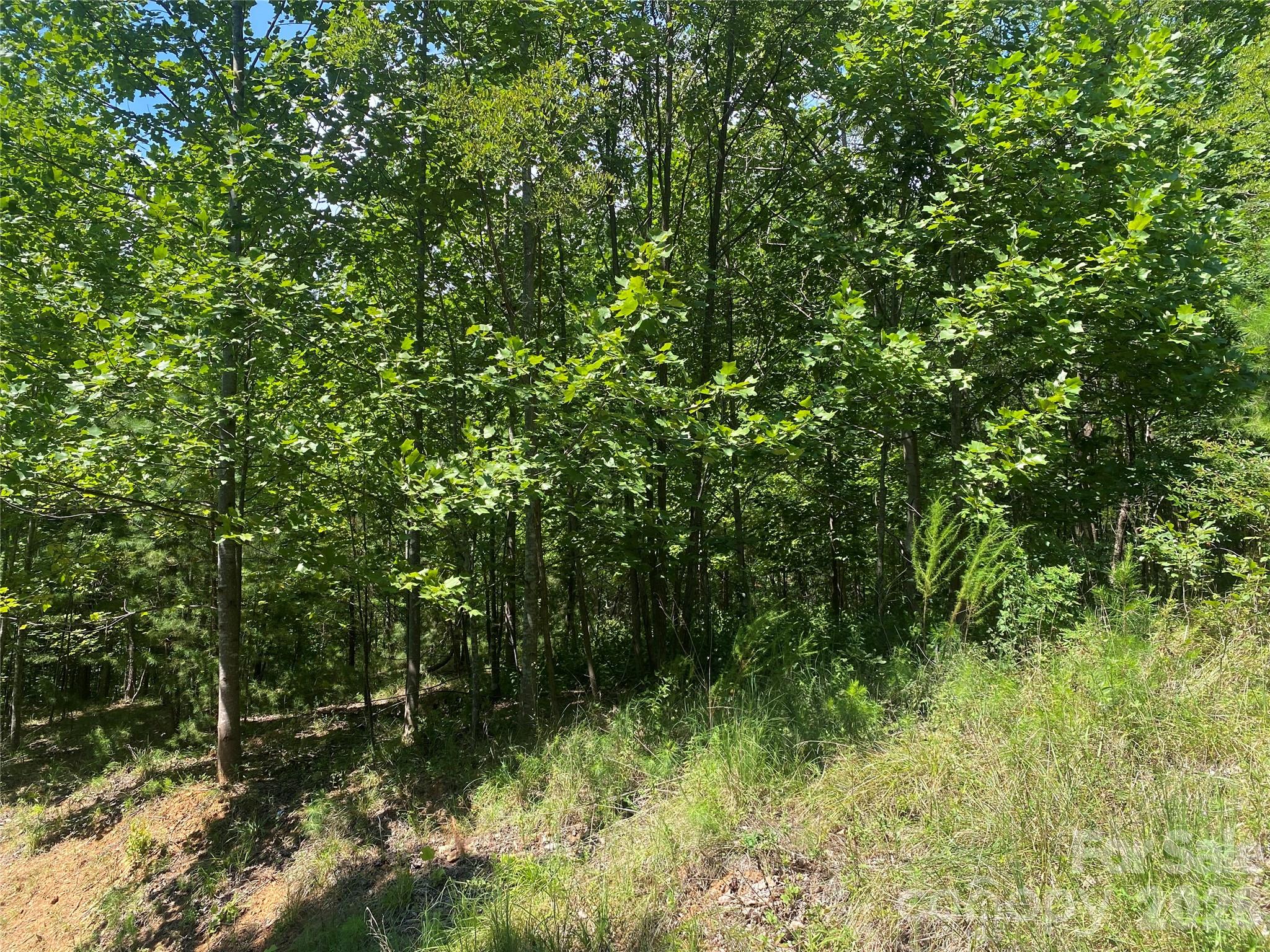 0000 Rock Ledge Drive