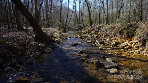 00 Vannoy Ridge Road Moravian Falls NC 28654