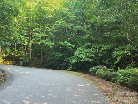 ADDRESS PRIVATE, MAGGIE VALLEY, NC 28751 - Image 9fc8248ee8cdf6db8b8bd8a818a6d854/1604824167
