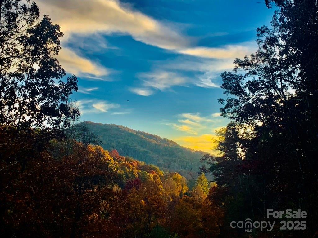 Osprey Village - Land