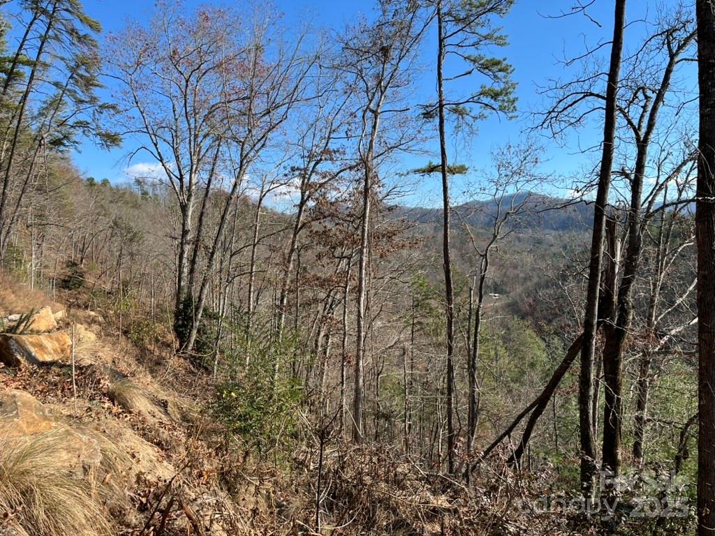 Osprey Village - Land