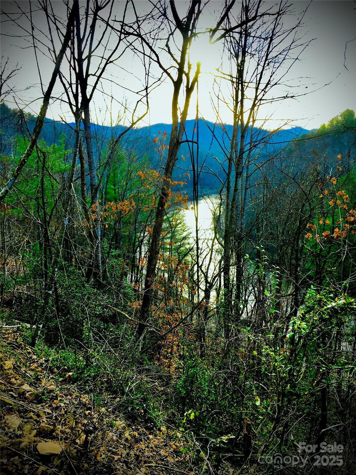 Osprey Village - Land