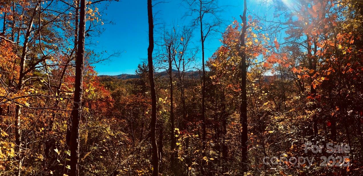 Osprey Village - Land