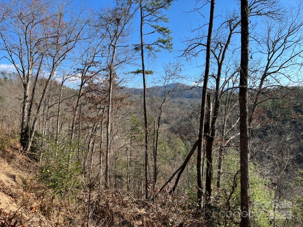 Osprey Village - Land