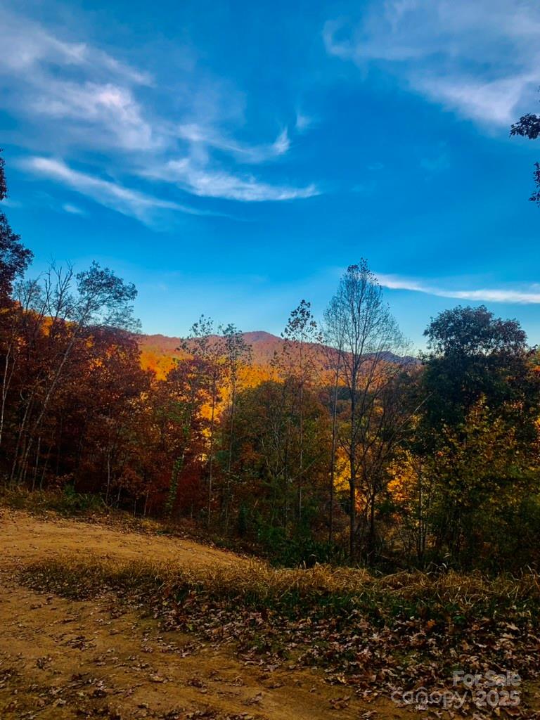 Osprey Village - Land