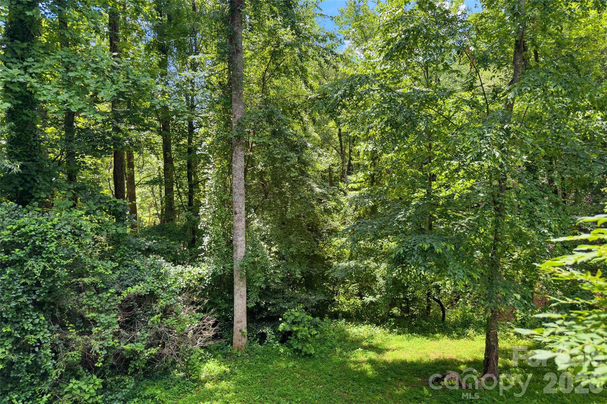 Linville Falls Mountain Club and Preserve - Residential