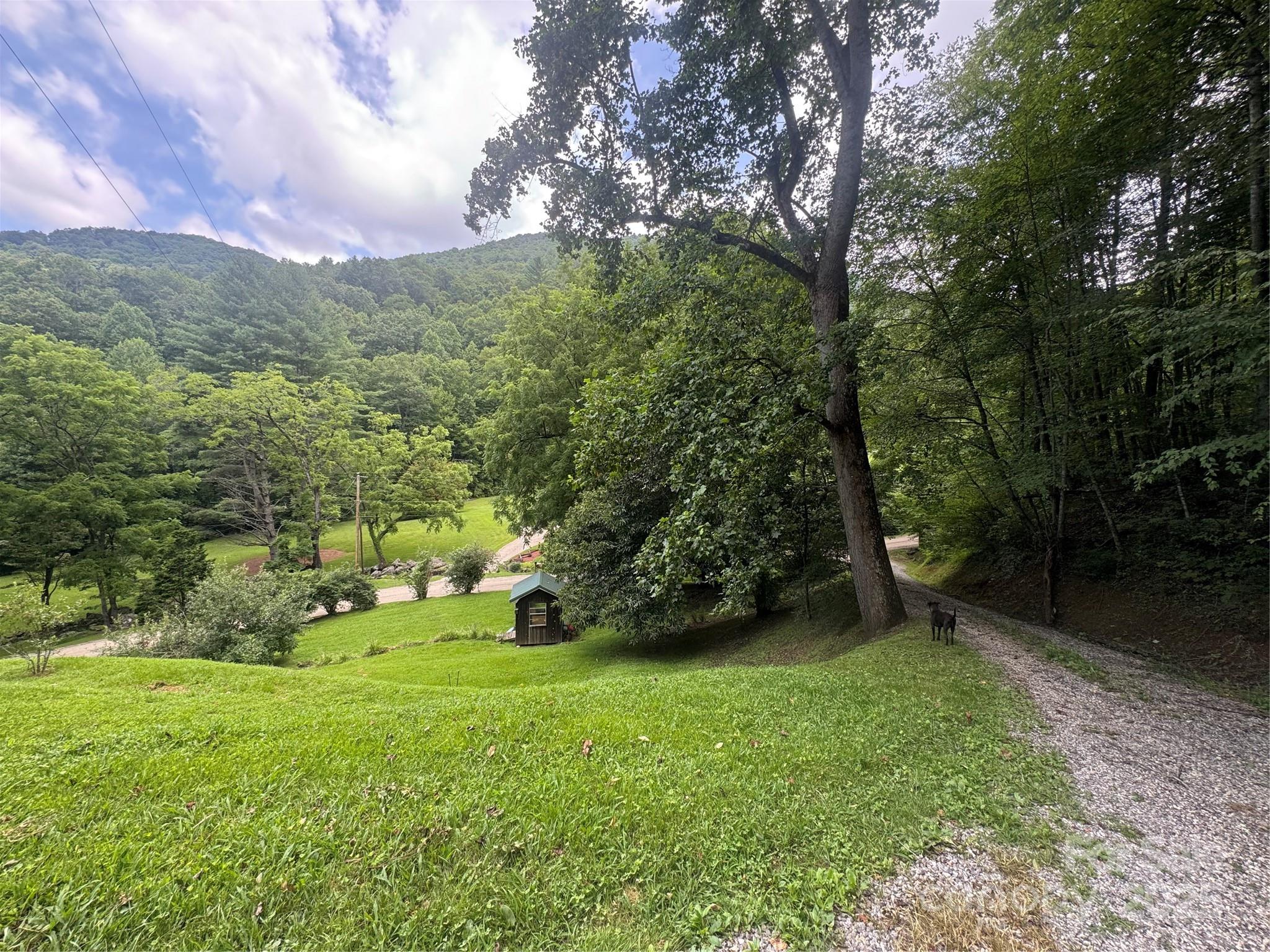 652 Shepherds Creek Road
