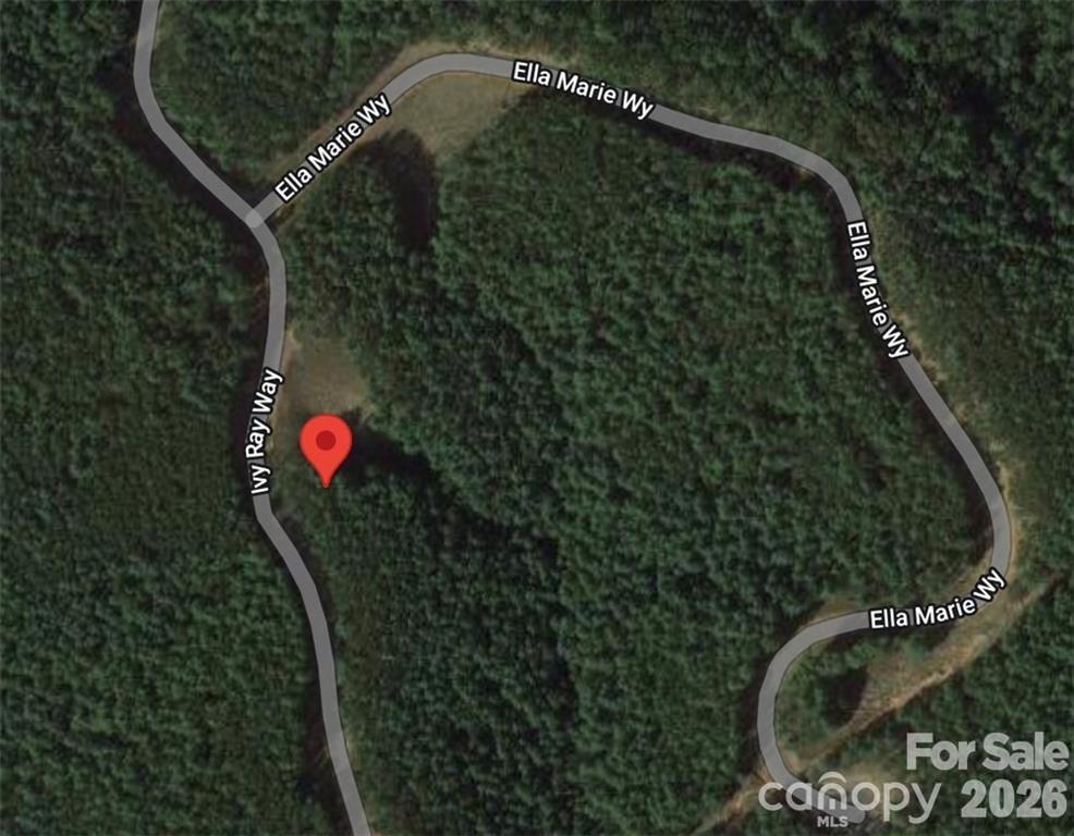 2377 Ivy Rays Way 56