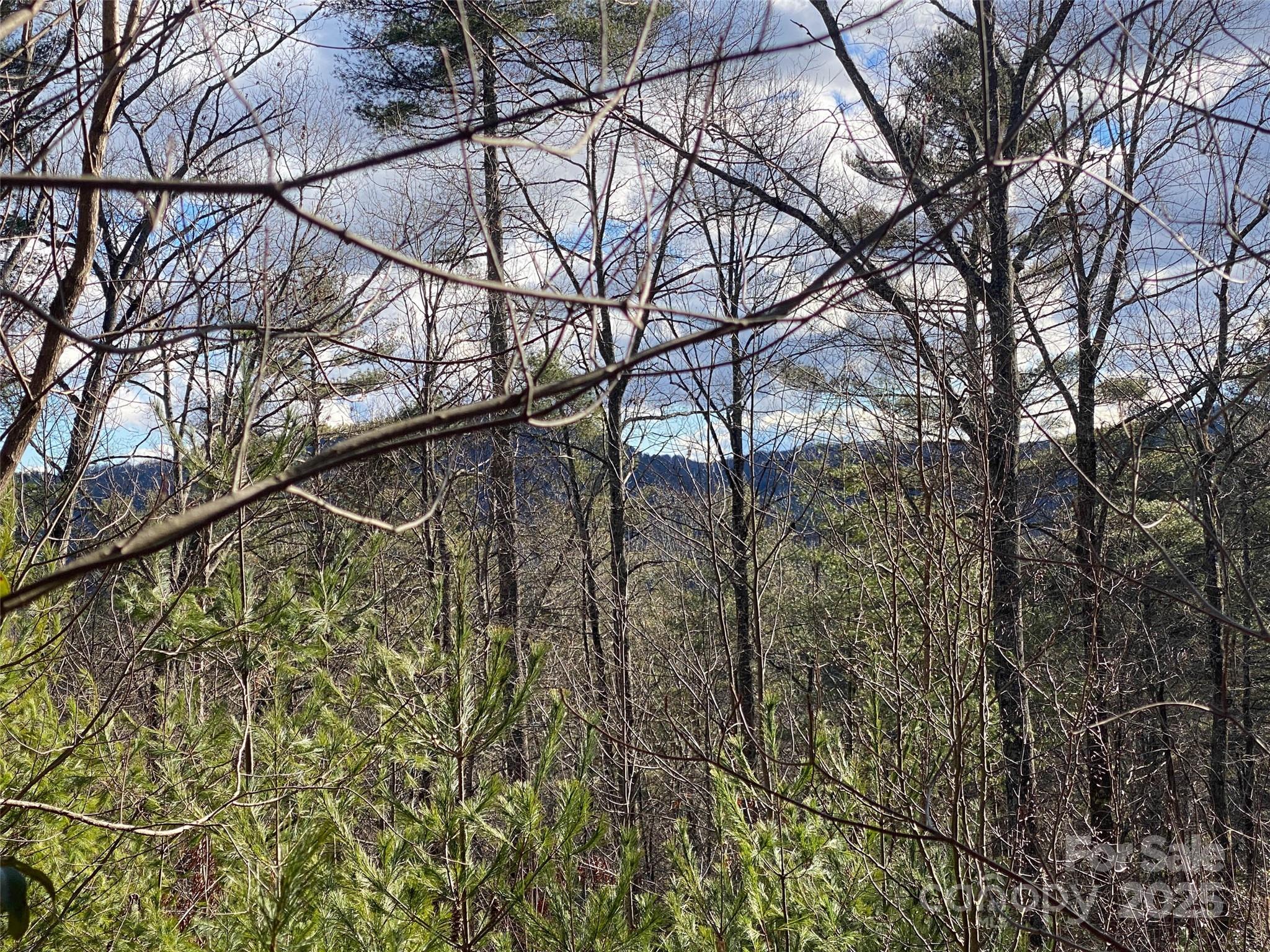 999 High Point Trail