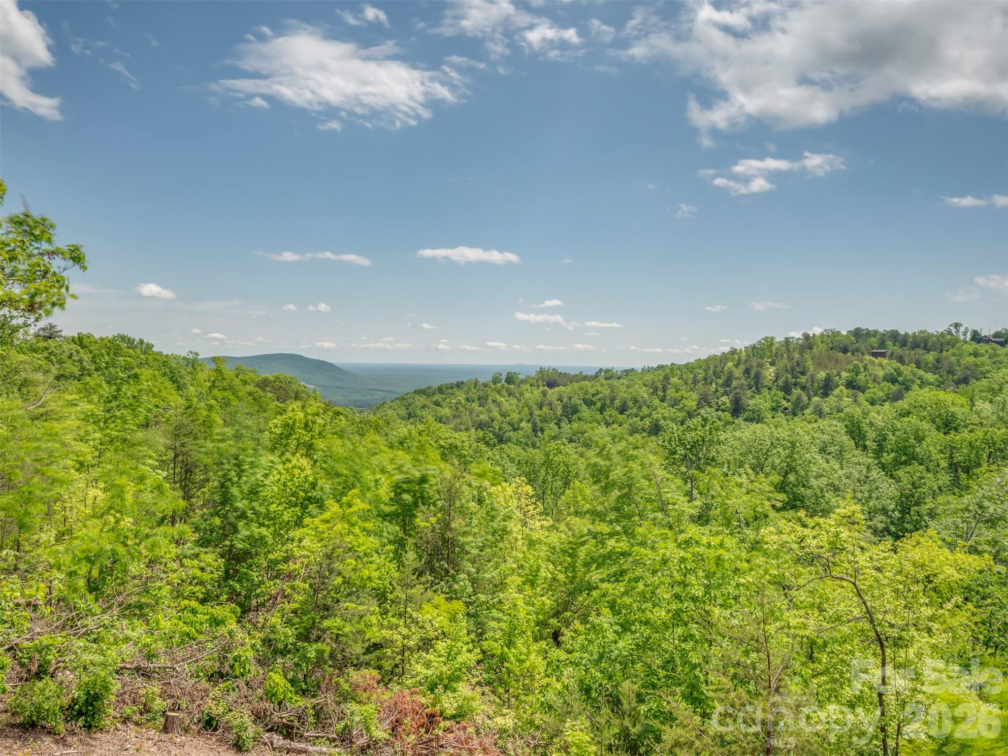 Yellowtop Mountain Estates - Residential