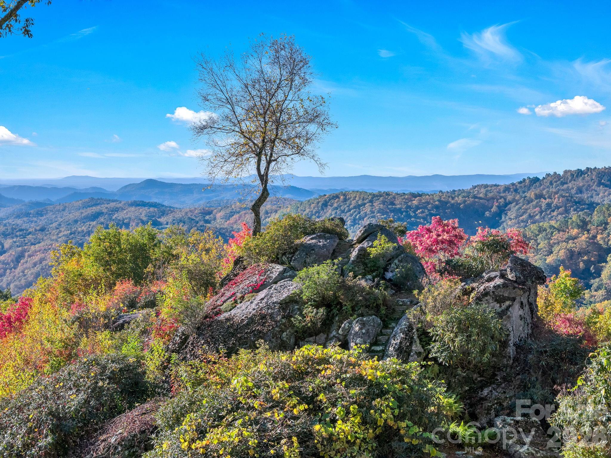 933 Thunder Ridge Lane 4 & 2