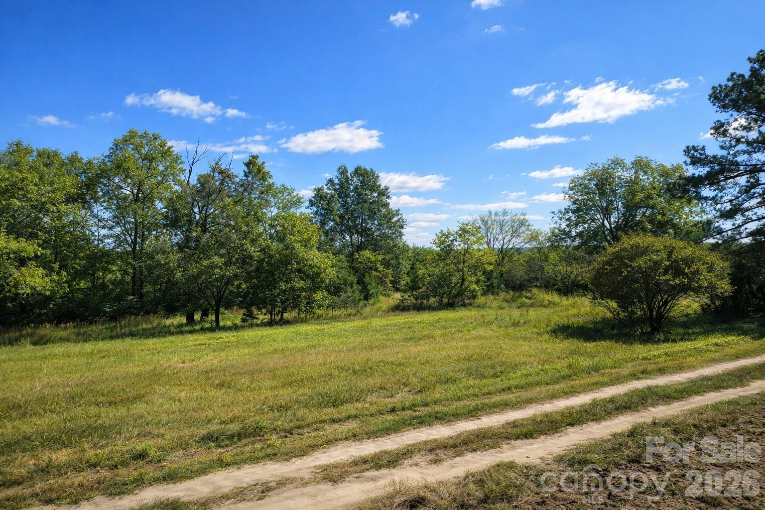 553 Avents Lane TRACT 3