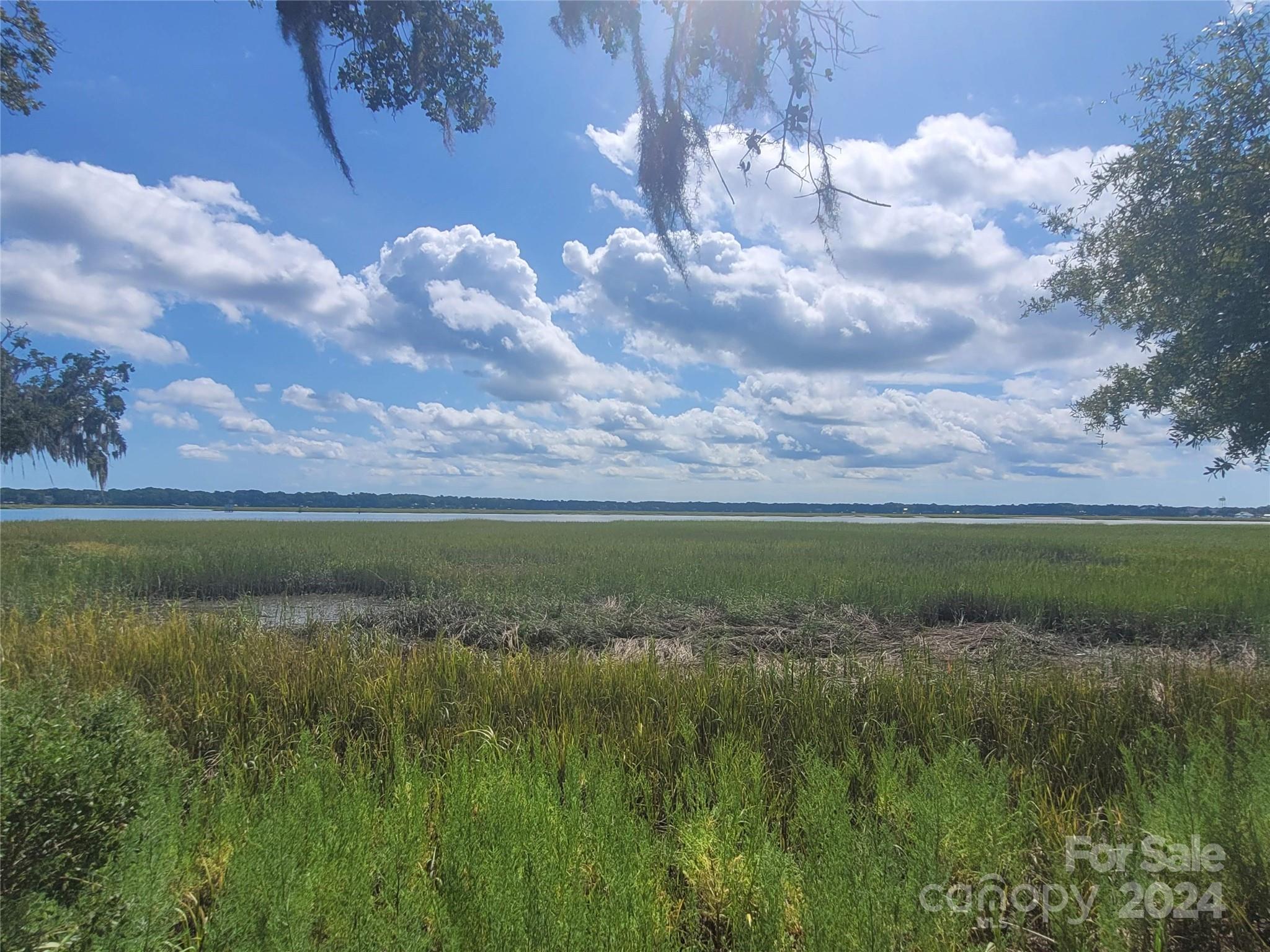 Palmetto Plantation - Residential