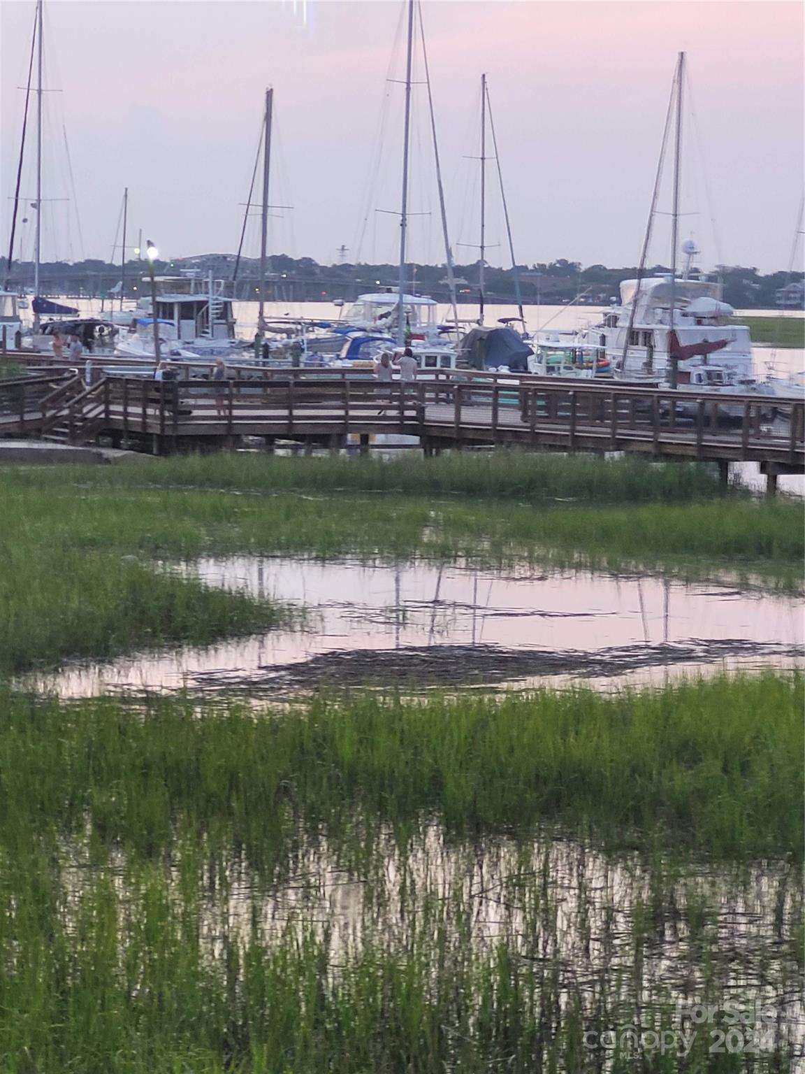 Palmetto Plantation - Residential