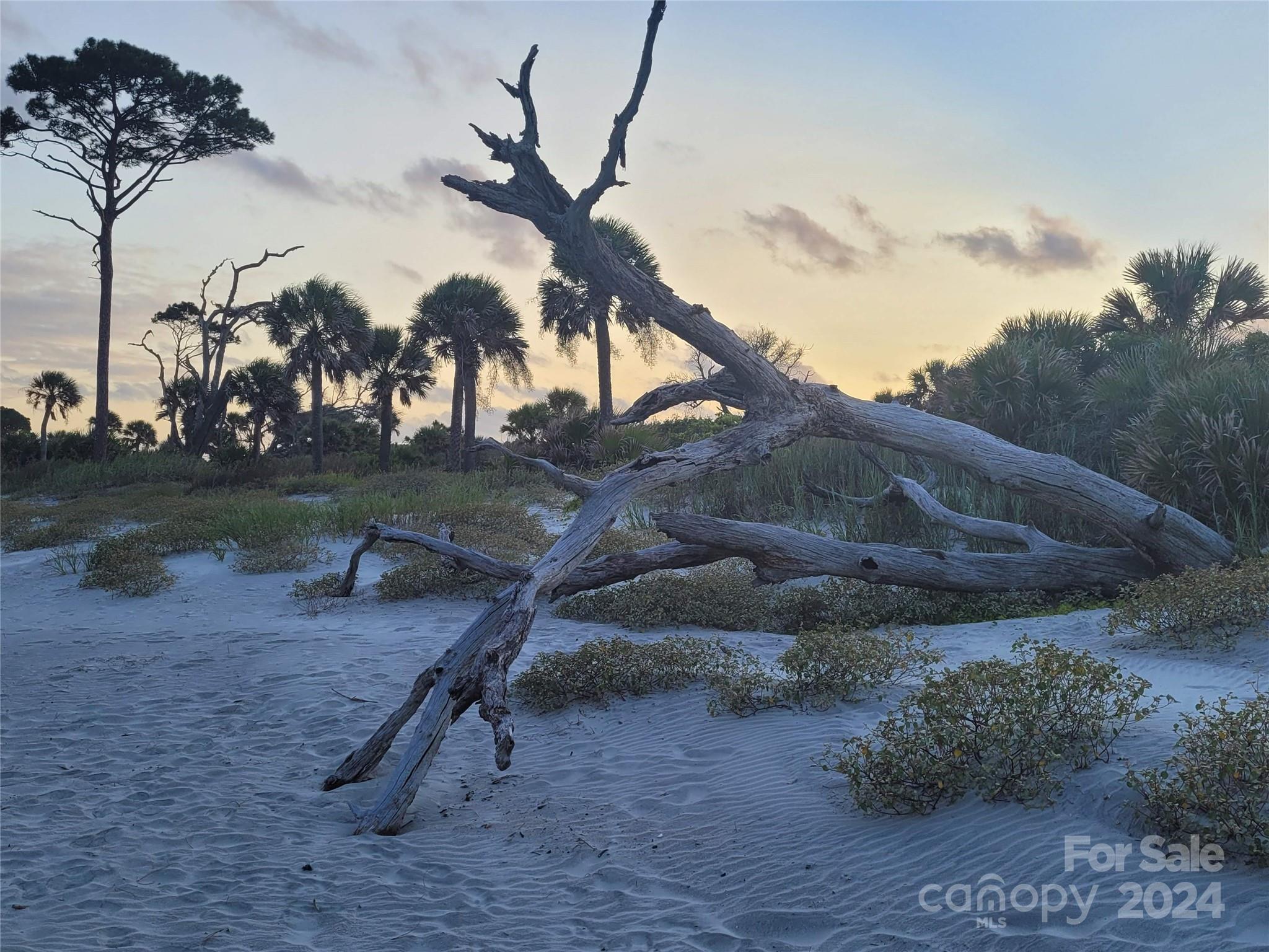 Palmetto Plantation - Residential