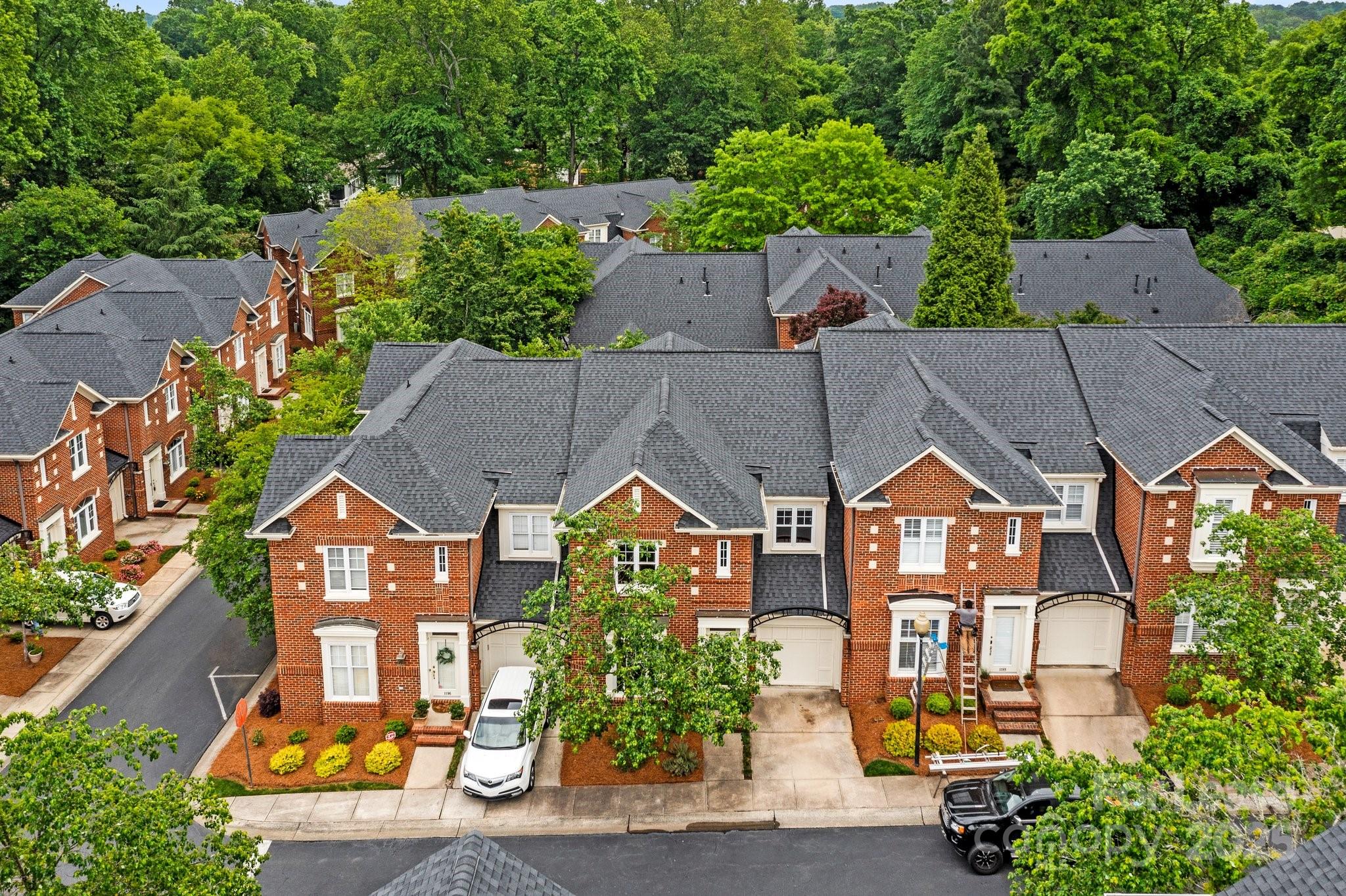 Myers Park - Residential Lease