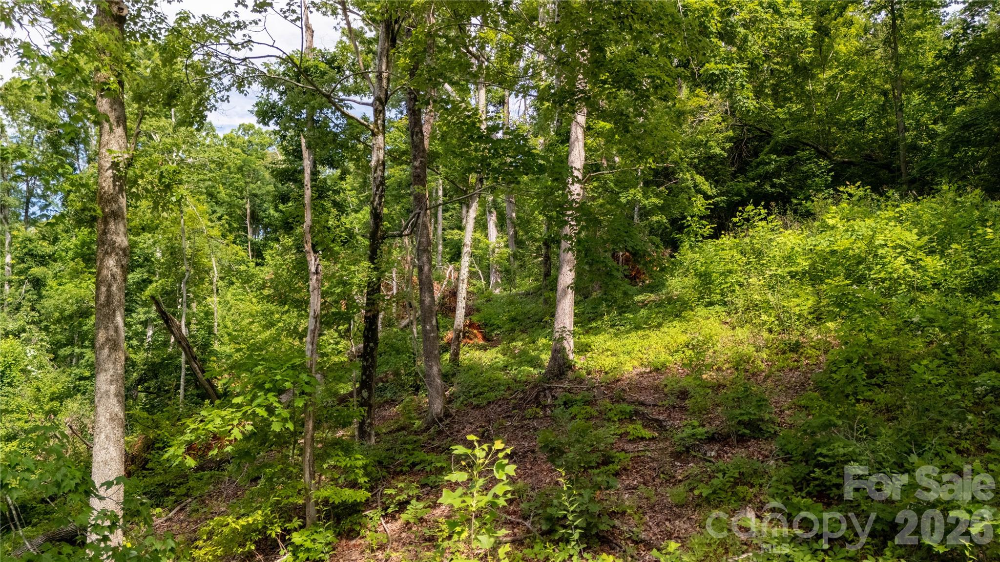 Lot 146 Shire Lane 146