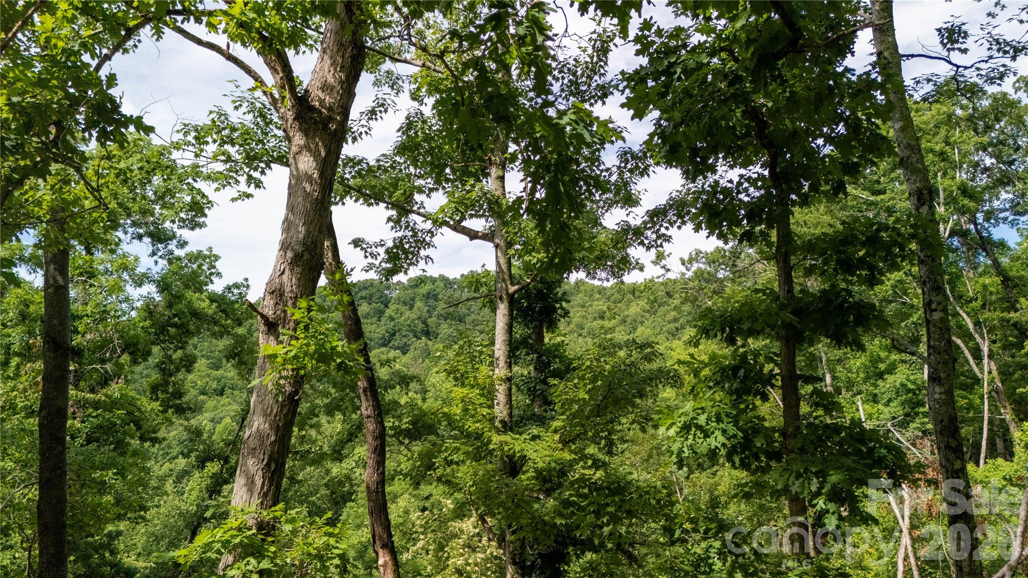 Lot 146 Shire Lane 146