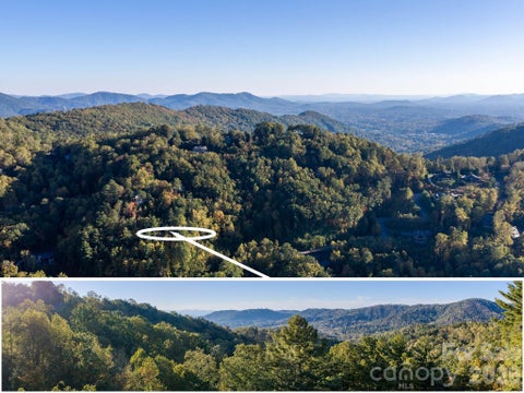 Photo of 55 Bartrams Walk Drive, Asheville, NC 28804 (MLS # 4436055)