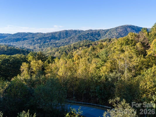 55 BARTRAMS WALK DR, ASHEVILLE, NC 28804 - Image a02012a86f7d5ecc6c69c8df1a388252/3859651101