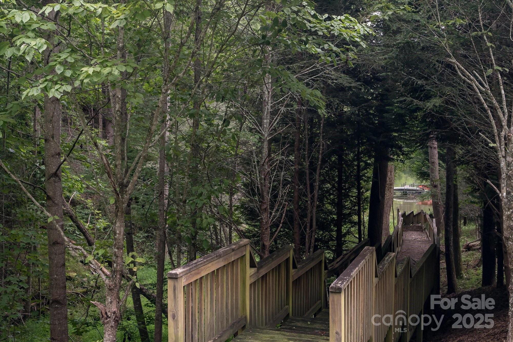 Mountain Park at Lake Adger - Land