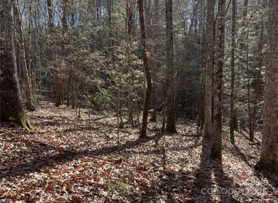 Mountain Park at Lake Adger - Land