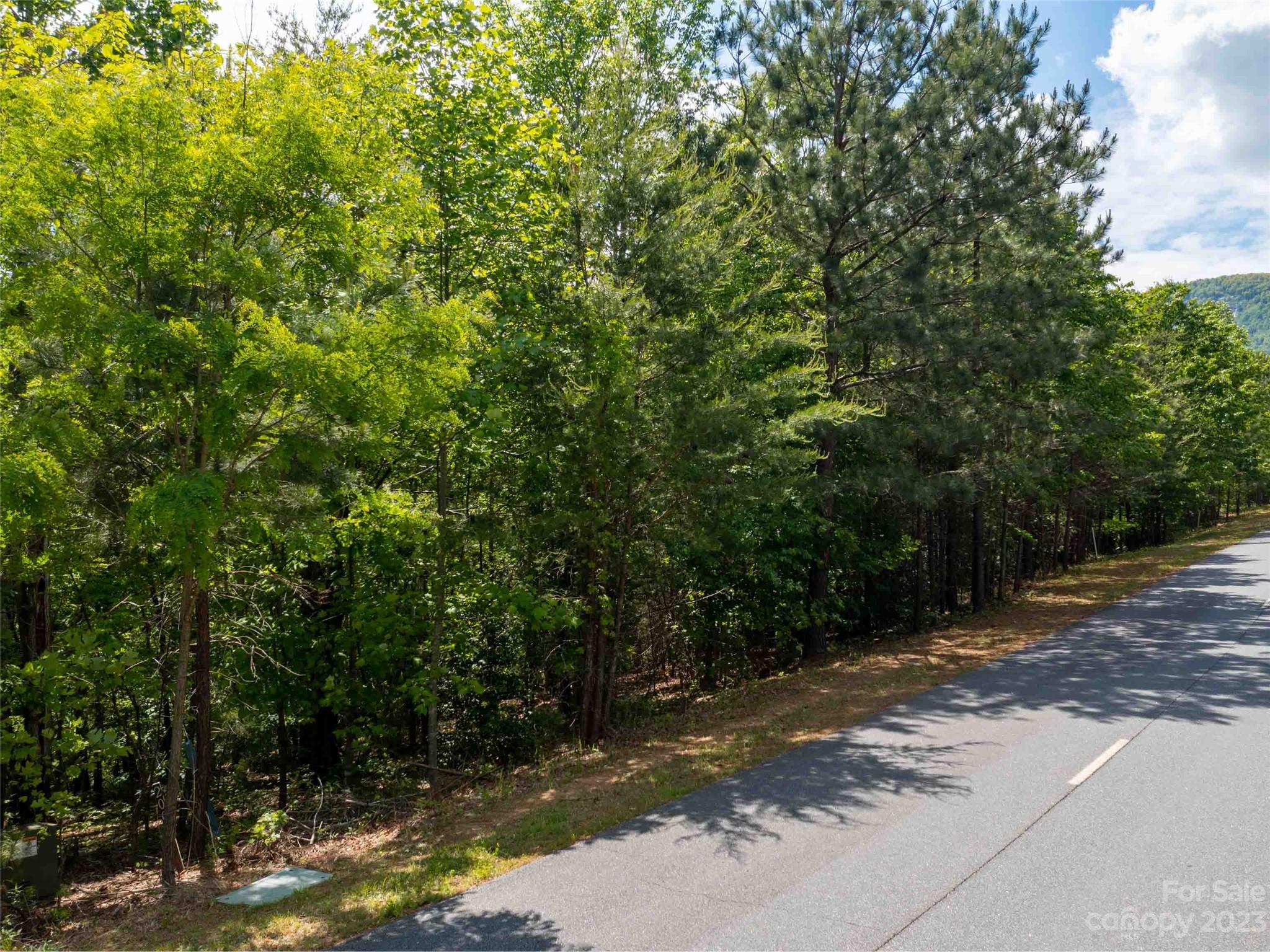 LOT 2009 Deep Gap Farm Road W