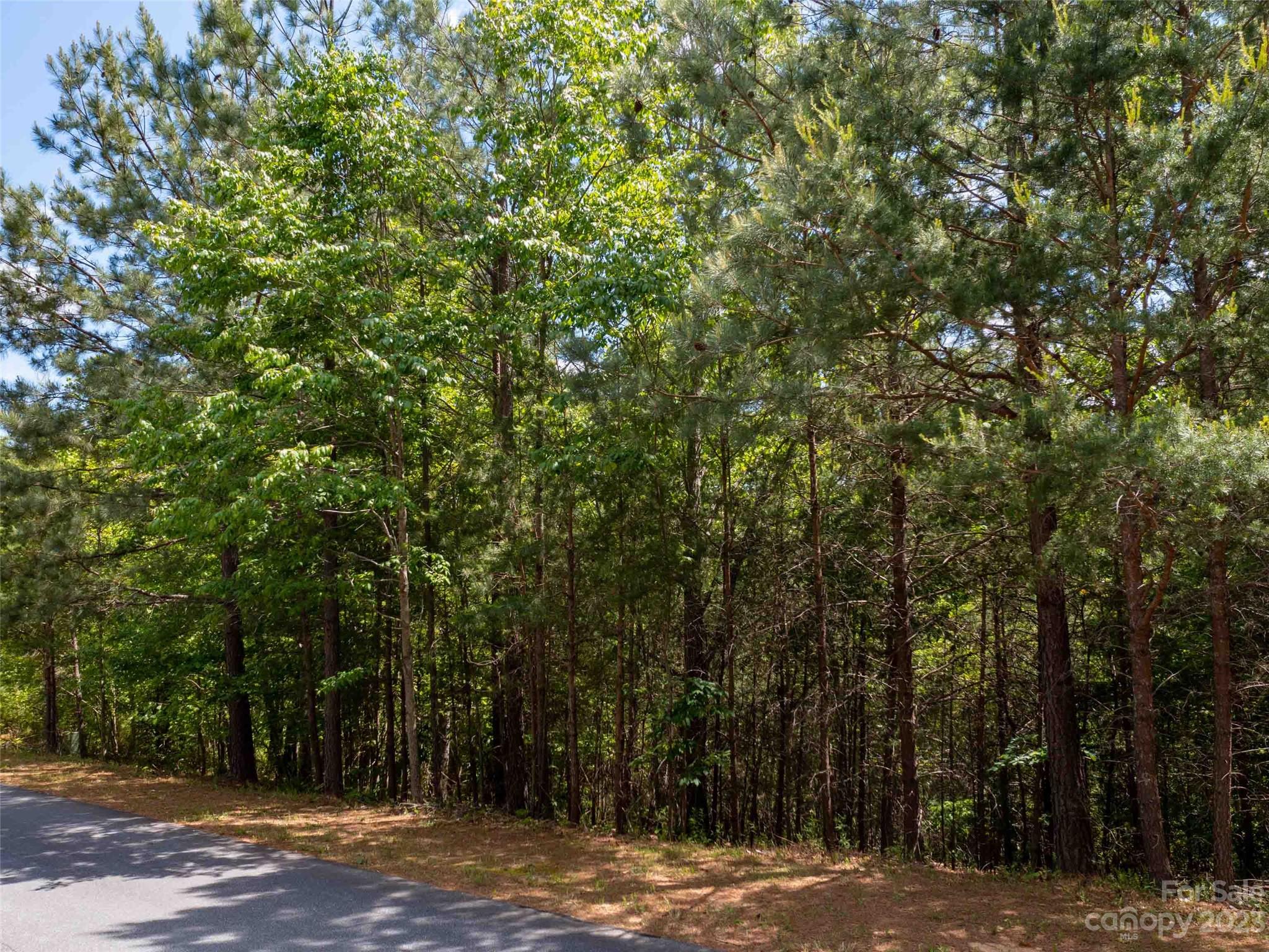 LOT 2009 Deep Gap Farm Road W