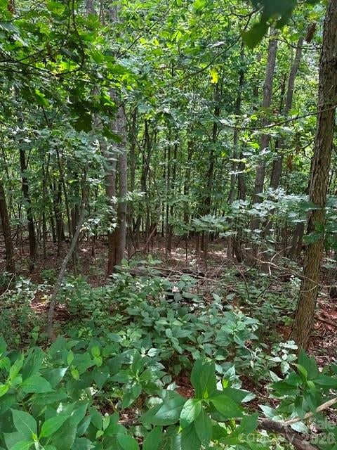 Photo of 0 Cove Gap Road #1, Moravian Falls, NC 28654 (MLS # 4407970)