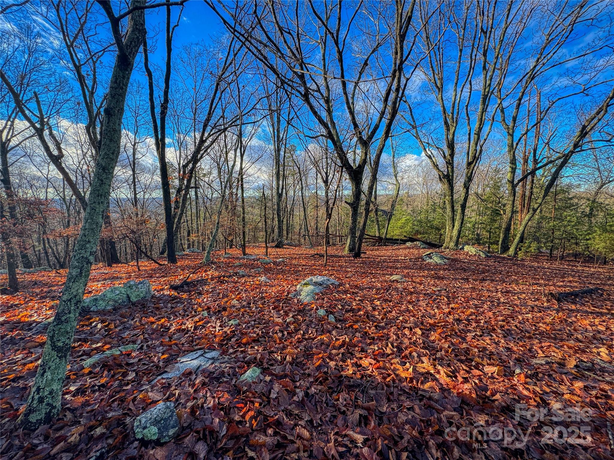 338 Sierra Trace Road