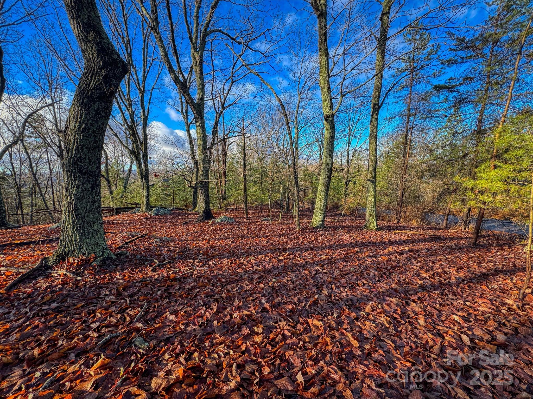 The Springs At High Rock - Land