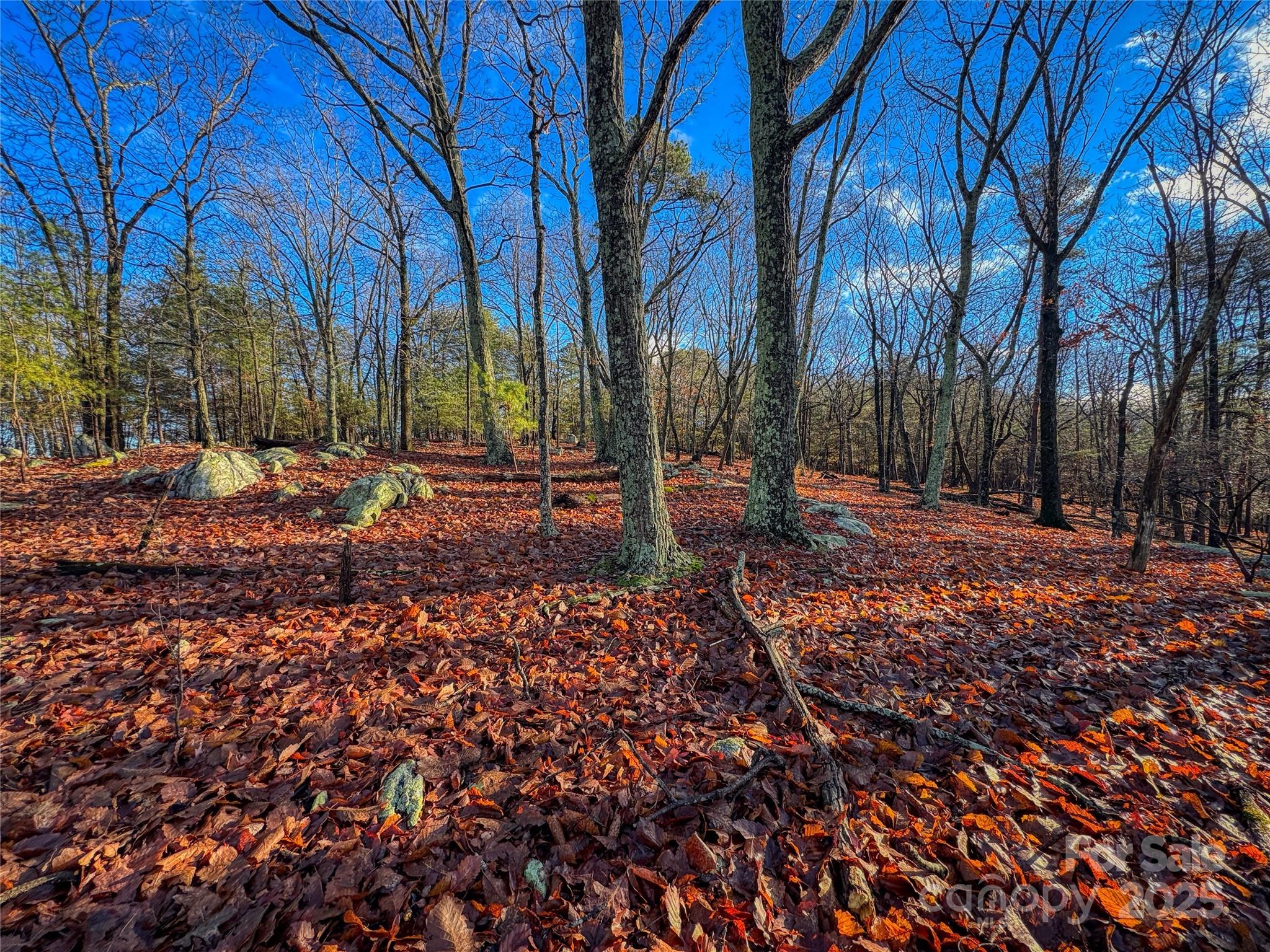 338 Sierra Trace Road