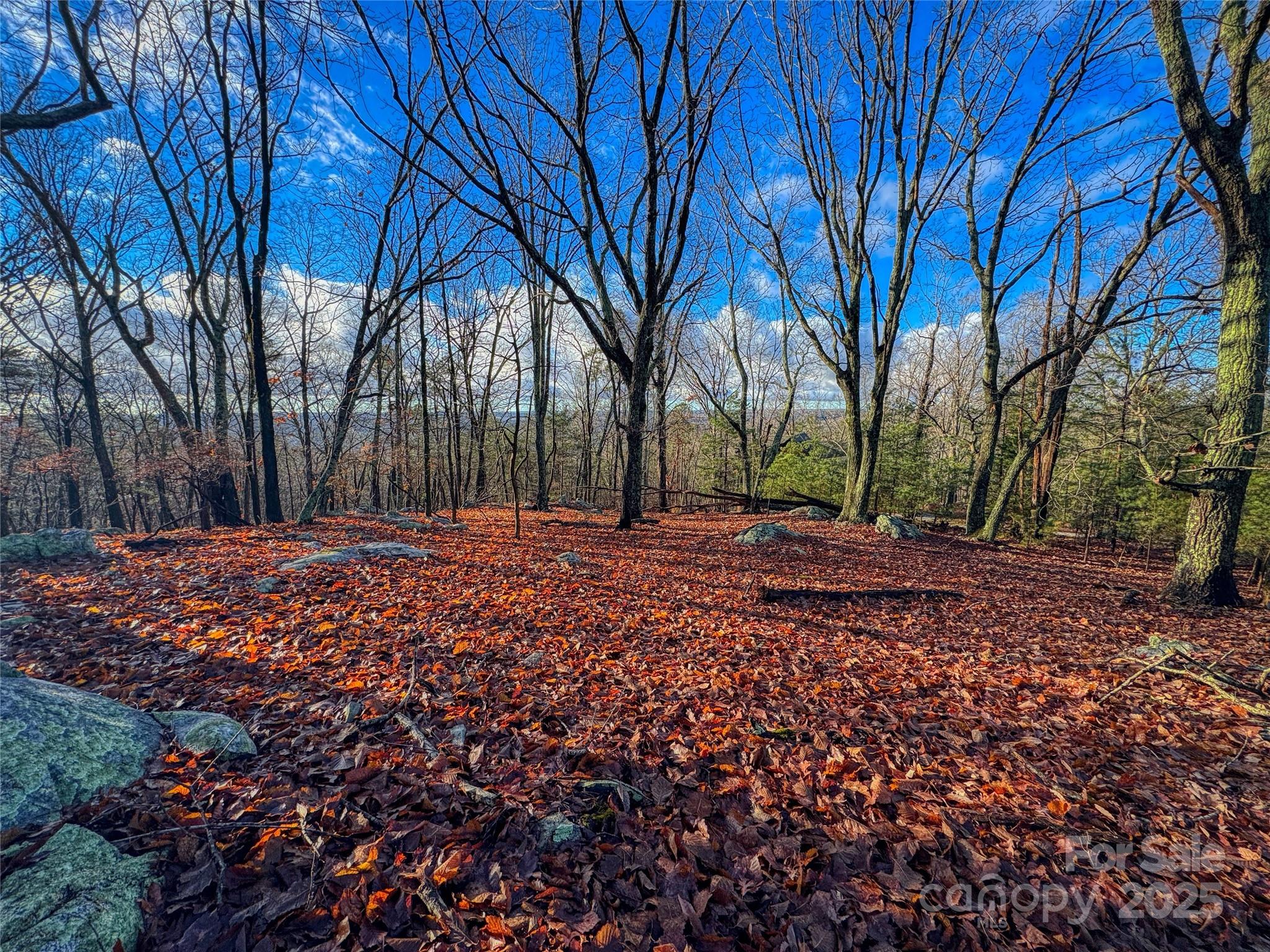 338 Sierra Trace Road