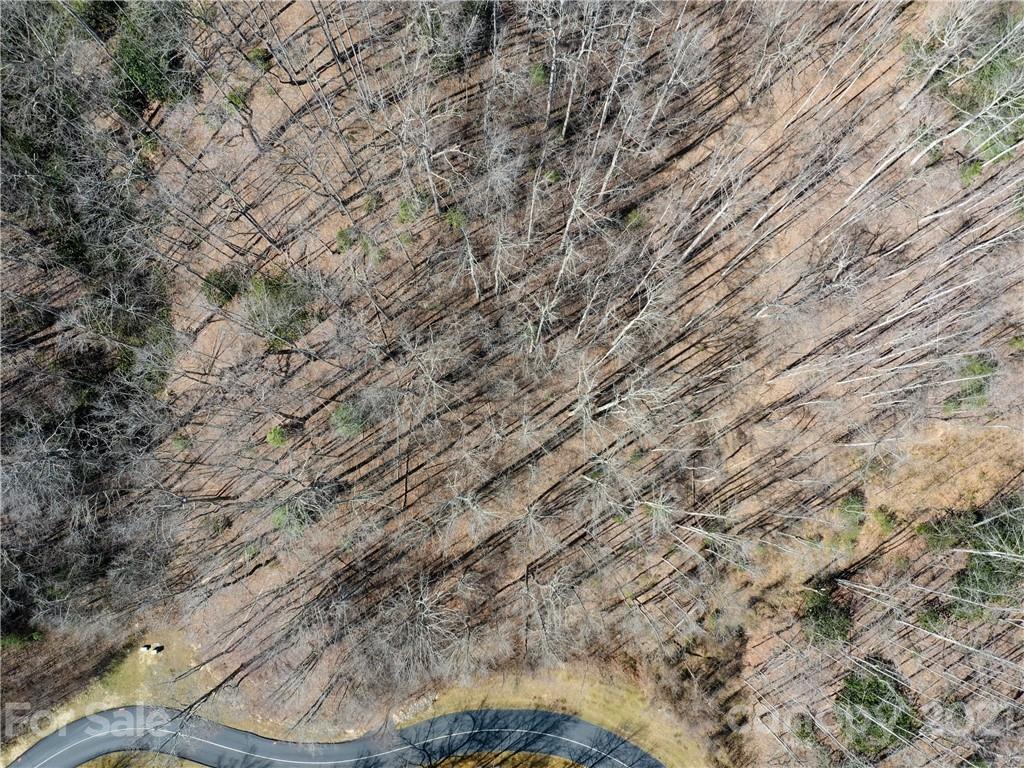 Cummings Cove - Land