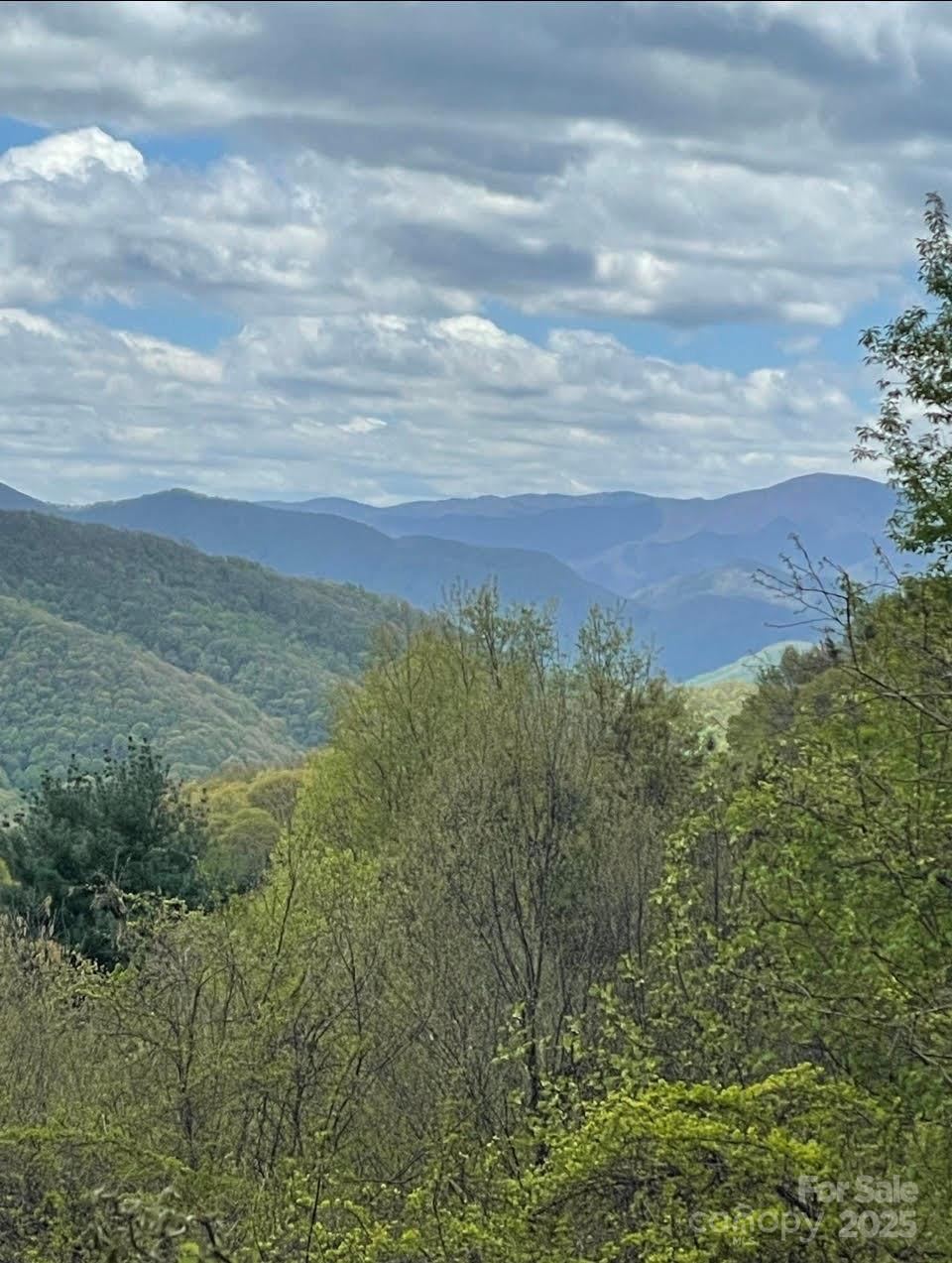 Newfound Gap Acres - Land