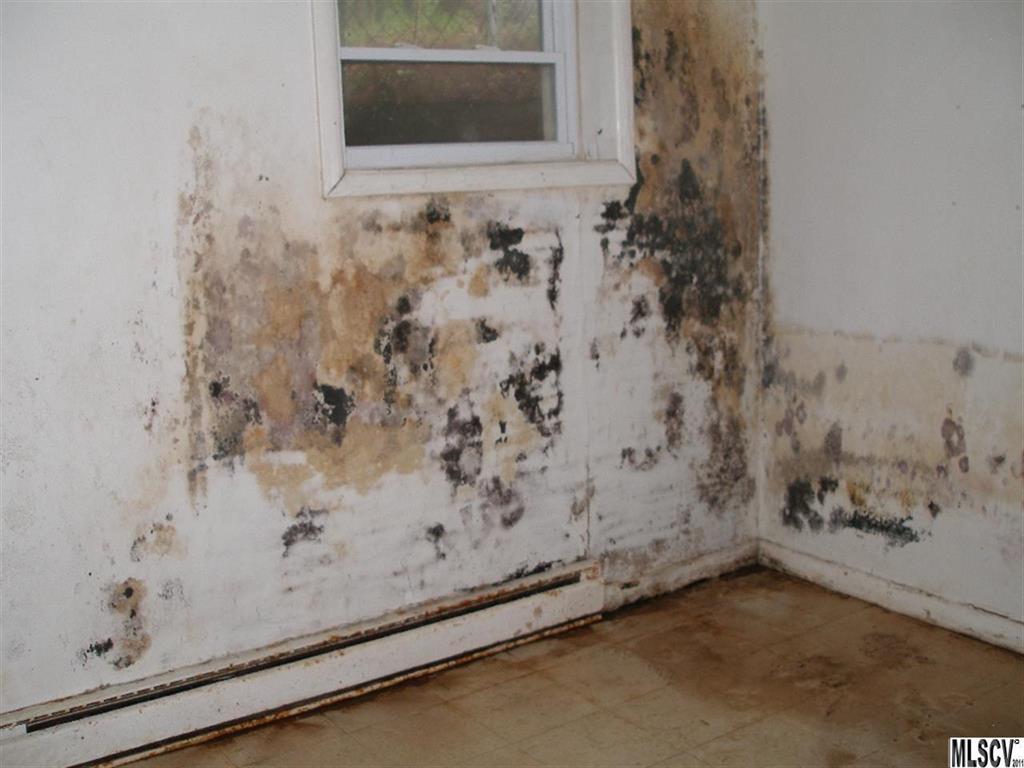 Lyle Haven - Residential