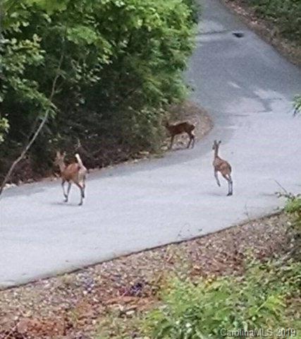 Hidden Lake - Residential