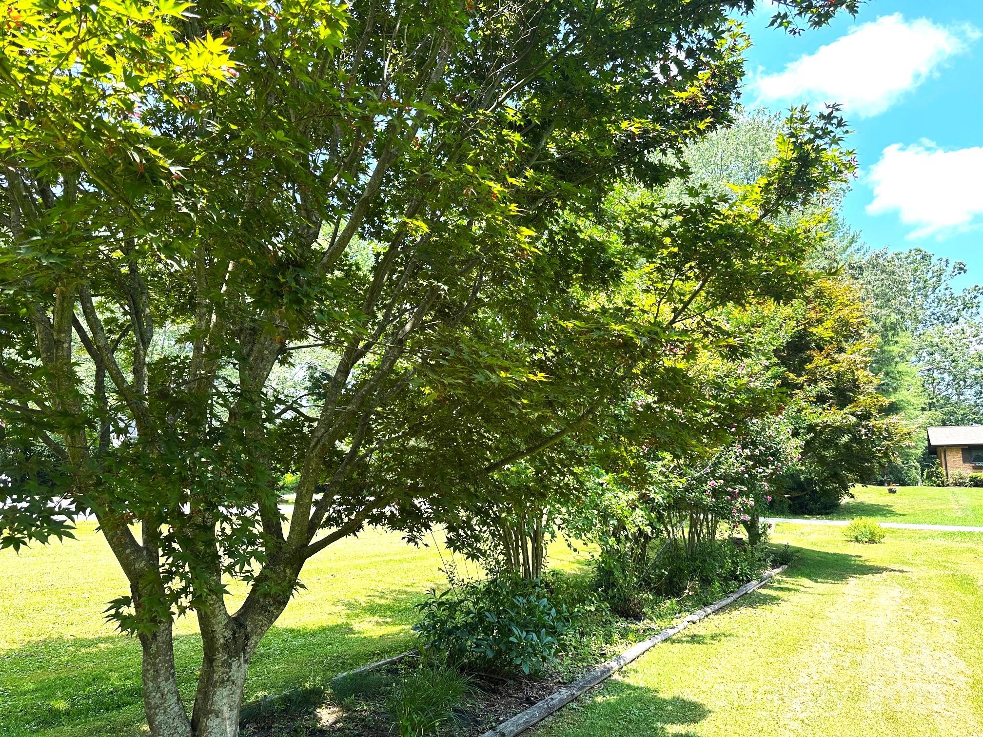 Franem Acres - Residential