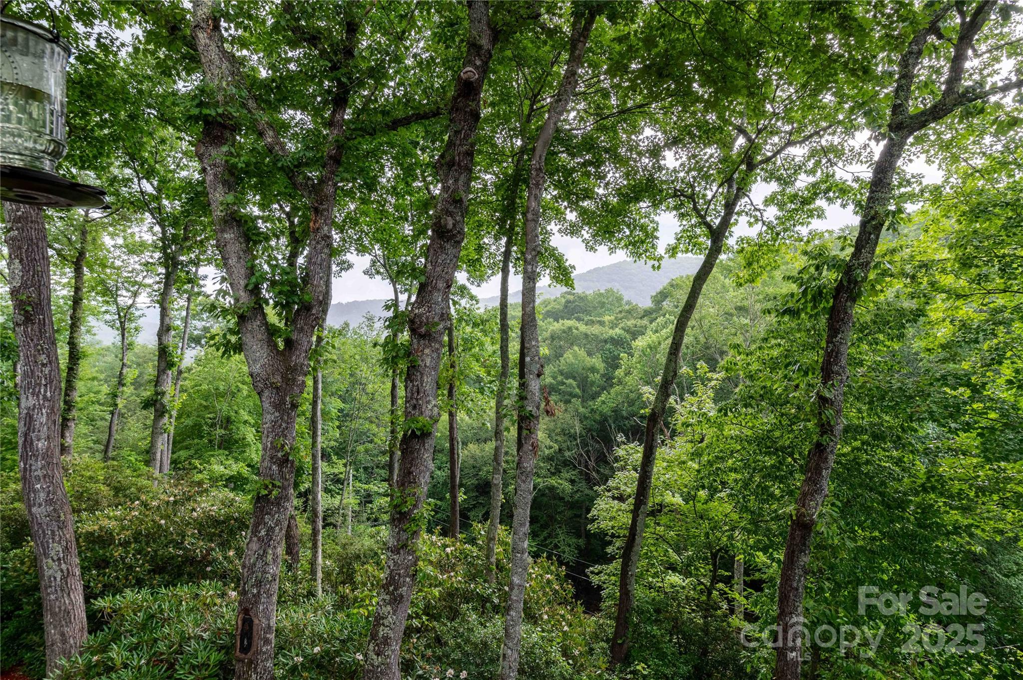 Mount Mitchell Lands - Residential