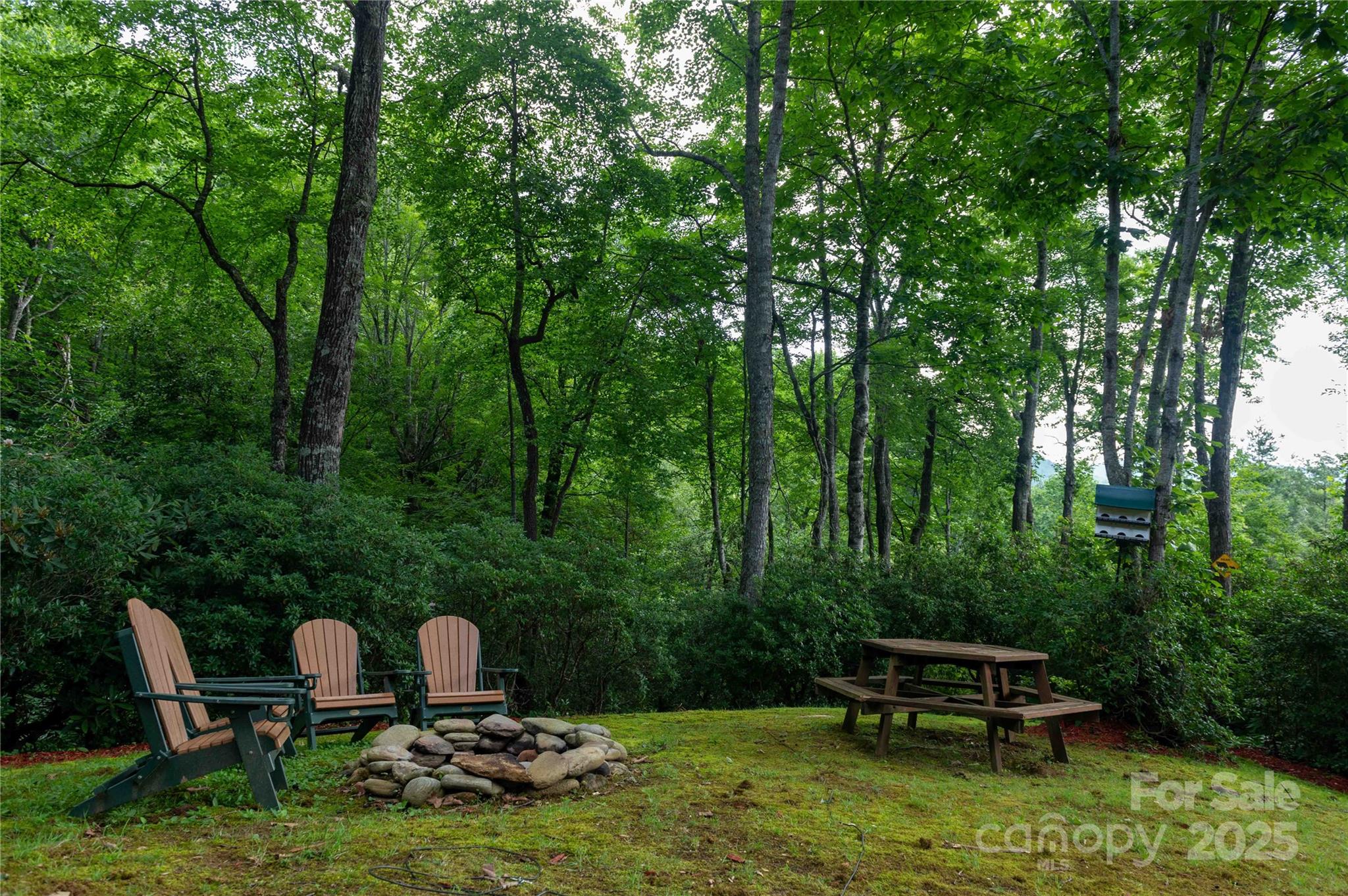 Mount Mitchell Lands - Residential