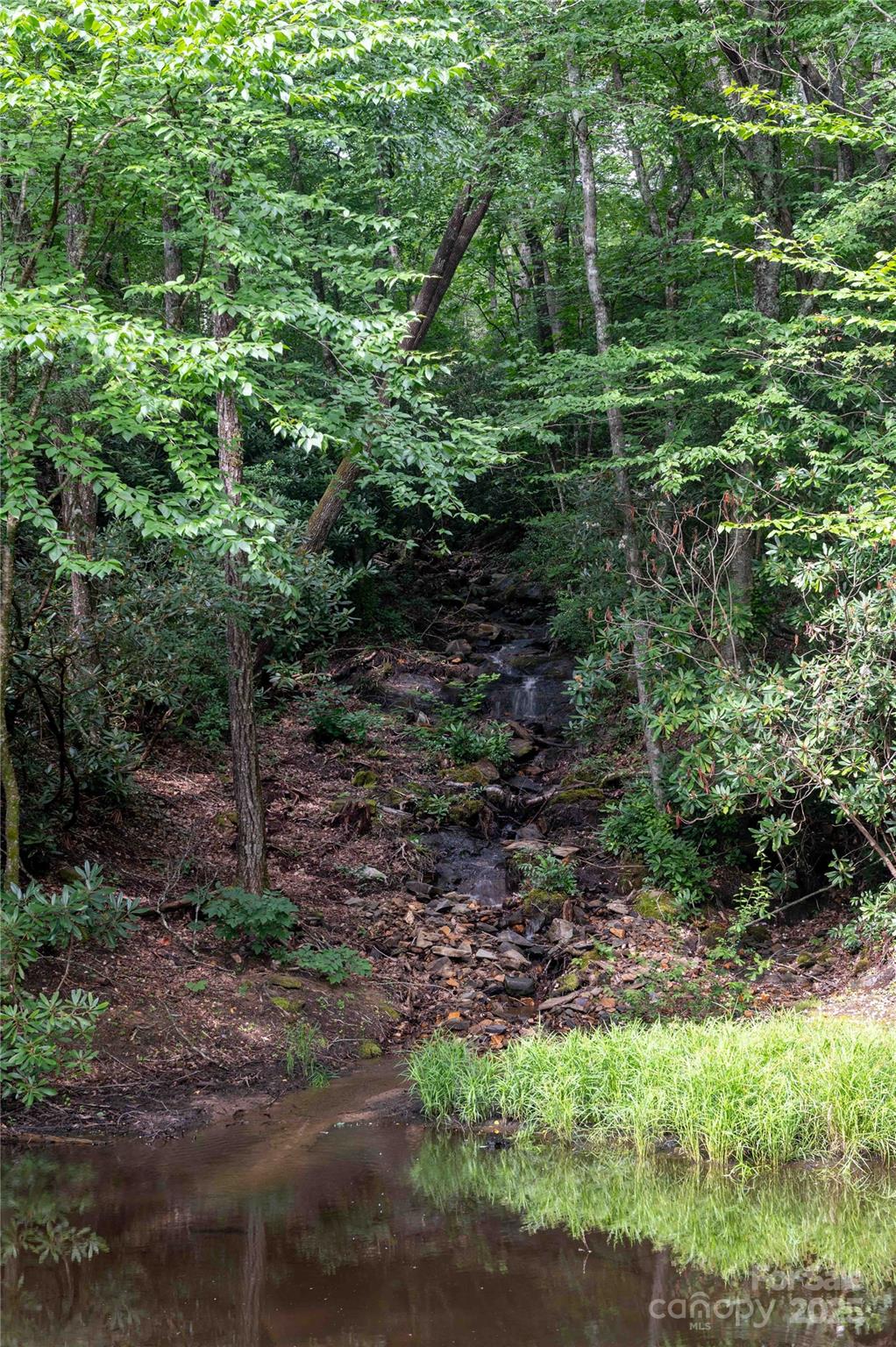 238 Falling Water Drive