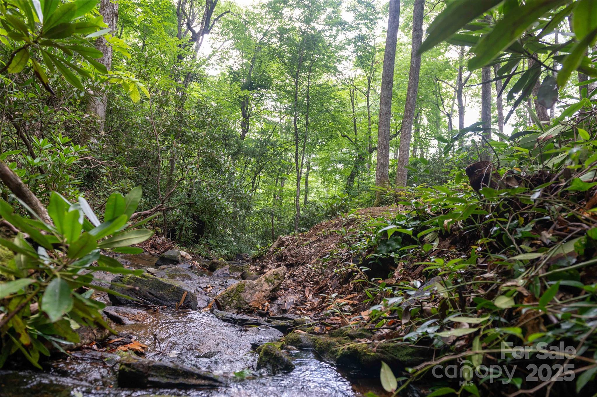 Mount Mitchell Lands - Residential