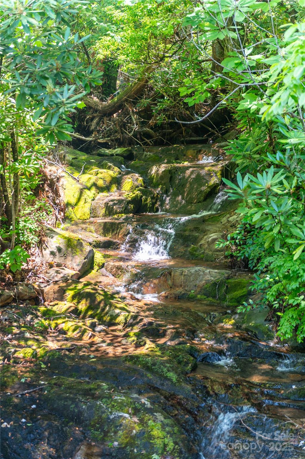 Mount Mitchell Lands - Residential