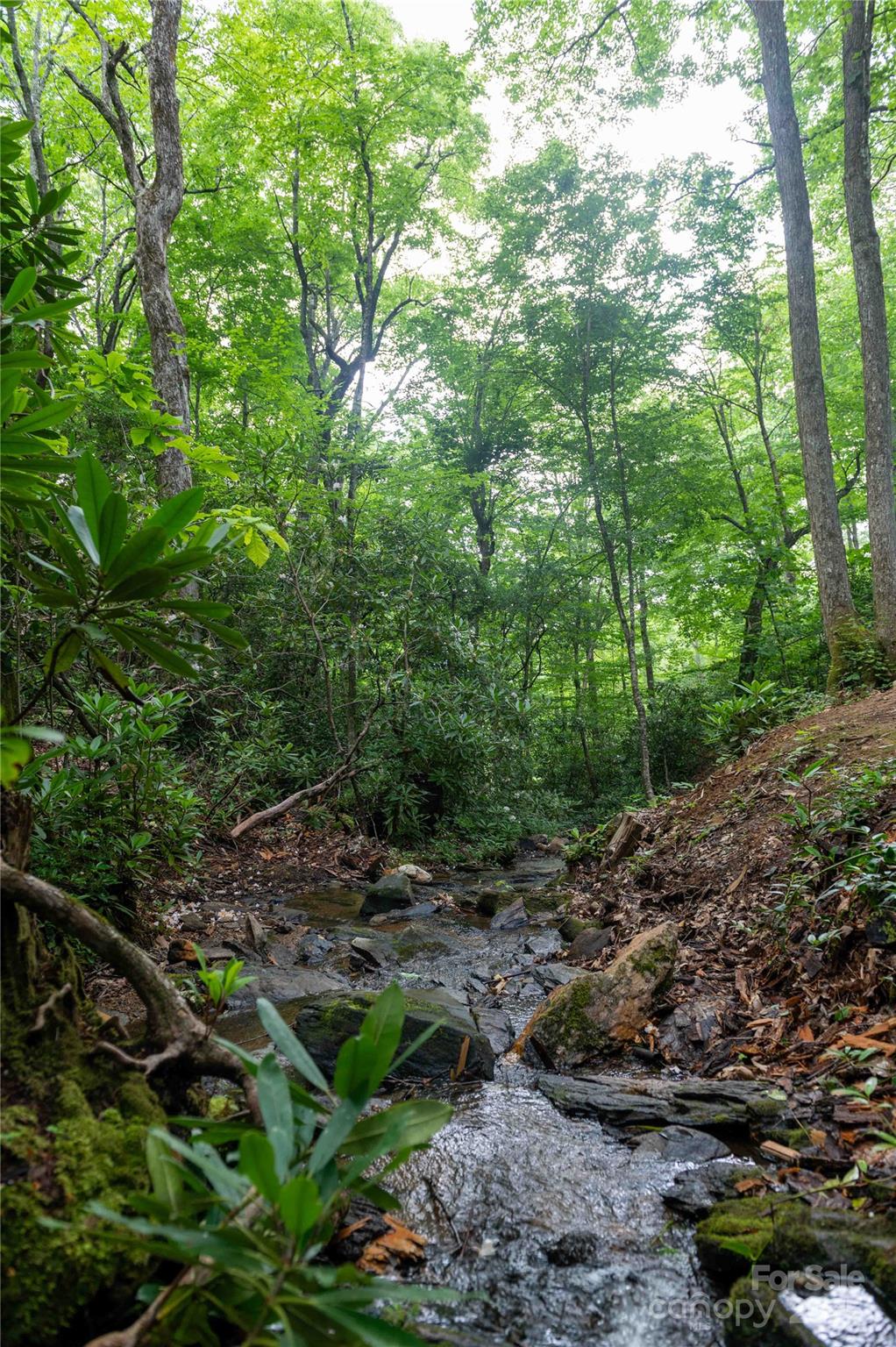 Mount Mitchell Lands - Residential