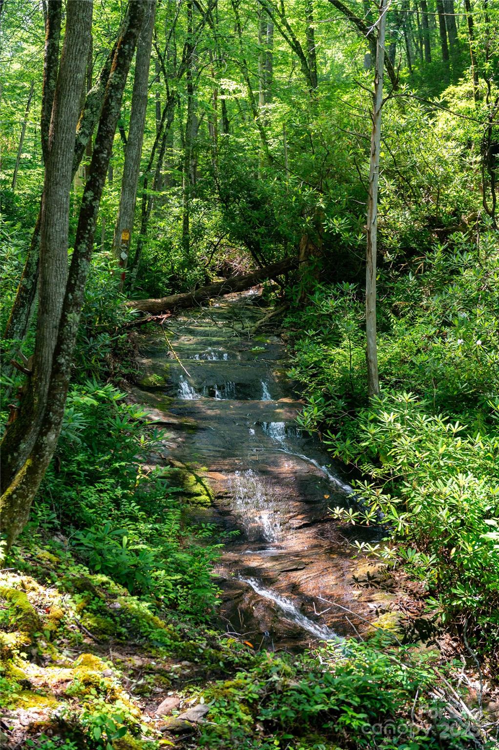 Mount Mitchell Lands - Residential