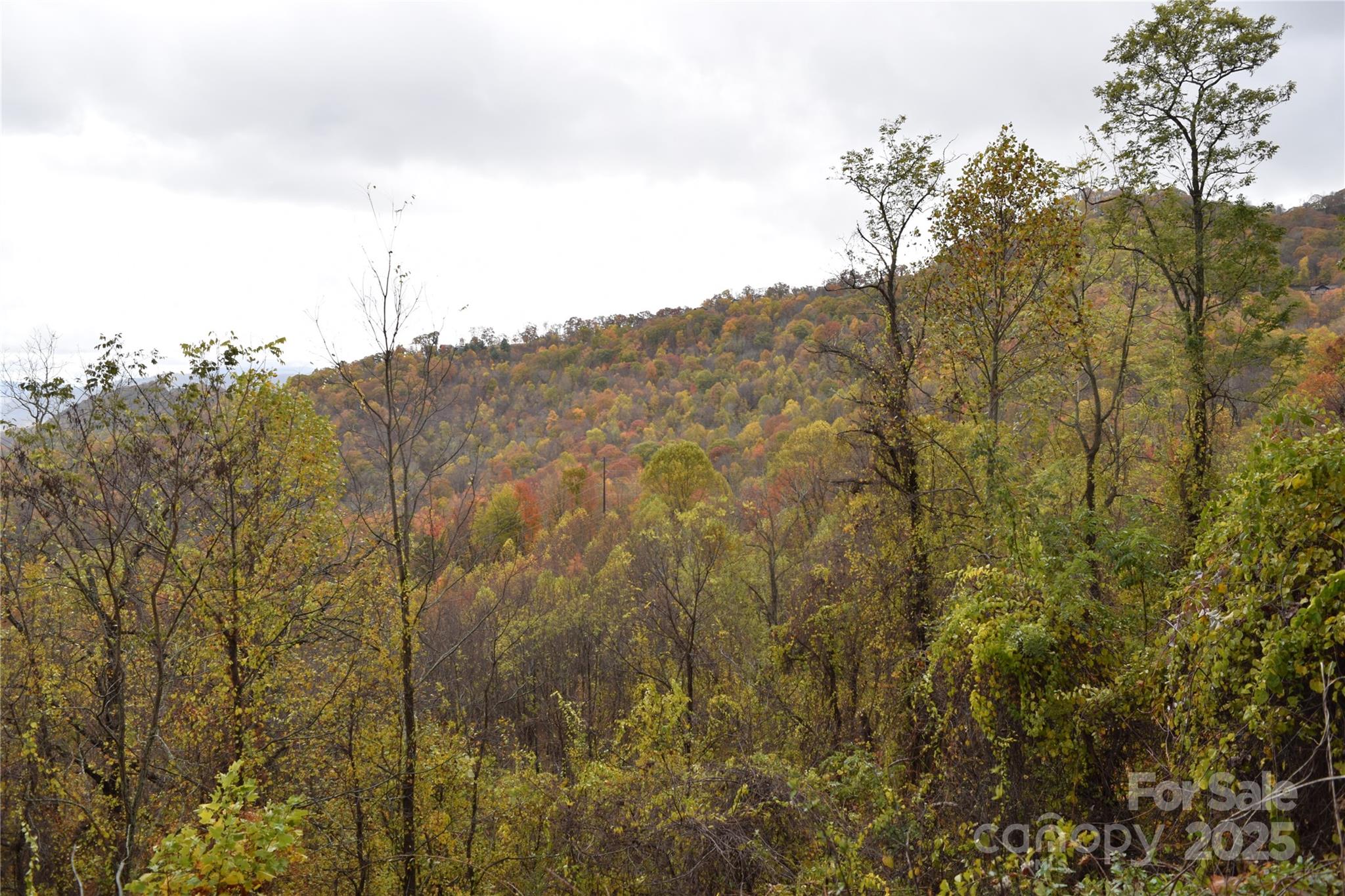Utah Mountain Estates - Land
