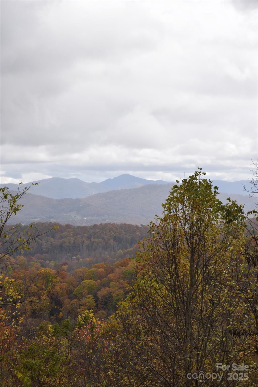 Utah Mountain Estates - Land