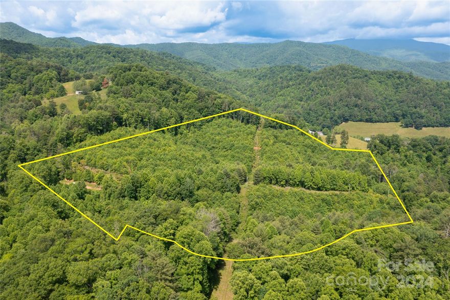 33 acre wooded property with leveled area for homesite, mountain views. 15 miles to Cataloochee hiking, 18 miles to Lake Junaluska and 20 to downtown Waynesville.